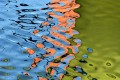 comp oct 2016 - les sables - reflets bateaux -  63 ter